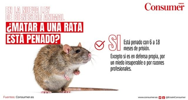 Ilustración de una rata en la revista Consumer