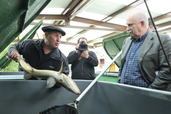 El consejero Aierdi ha conocido, con el técnico Gabriel Salaberri, en la piscifactoría de Oronoz el proceso de la producción de salmón.