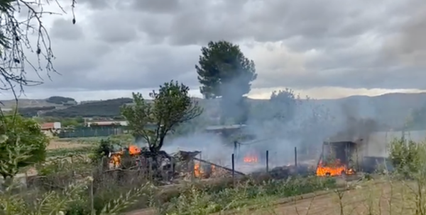 Foto: huertas quemadas en San Adrián